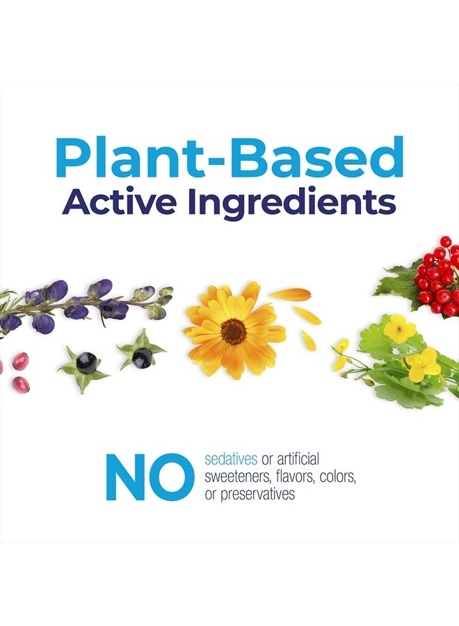 Boiron StressCalm On The Go for Relief of Stress, Anxiousness, Nervousness, Irritability, and Fatigue, 80 Count (Pack of 2) - Image 5