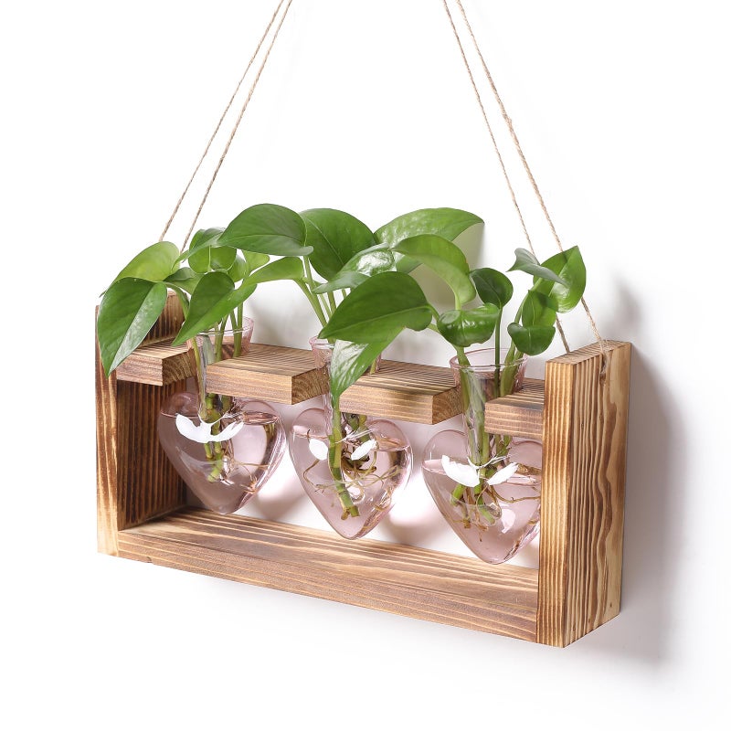 MTsigns Plant Terrarium Propagation Stations Hydroponics Home Garden Decoration Gift for Women with Wooden Stand Heart Shaped Colored Glass Vase - Image 1