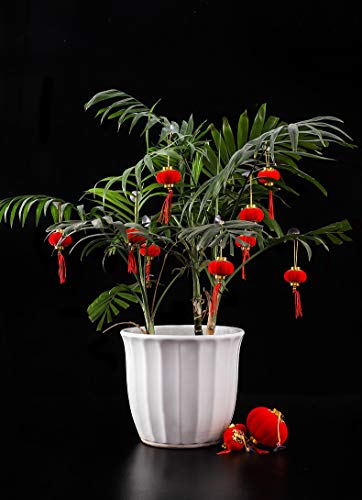 Doumeny 58PCS Chinese New Year Decorations Set 2026 Spring Festival Mini Hanging Horse Pendant Chinese Knot Small Red Lantern Good Luck Fu Ornaments for New Year Office Home Tree Outdoor Indoor Decor - Image 3