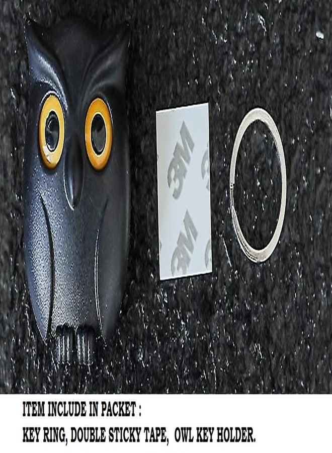 ASBK Magnetic Owl Key Holder Set, Cute Night Owl Keyring with Automatic Open Close Eyes, Black and White (Black) - Image 3