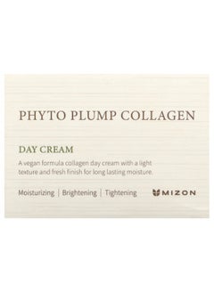 MIZON Mizon, Phyto Plump Collagen, Day Cream, 1.69 fl oz (50 ml)  - Image 2