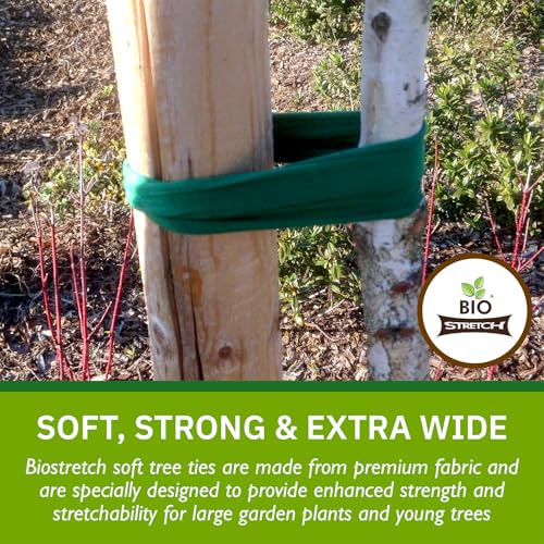 Biostretch Extra Wide Soft Tree Ties - Strong & Stretchy Support for Large Plants & Young Trees - Cut-to-Length Green Garden Tape for Home & Professional Gardening (52 ft / 16M) - Image 2