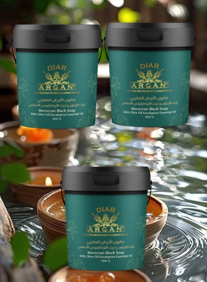 Diar Argan 3 Pieces Moroccan Argan Soap with Olive Oil and Eucalyptus Oil 600grams - Image 1