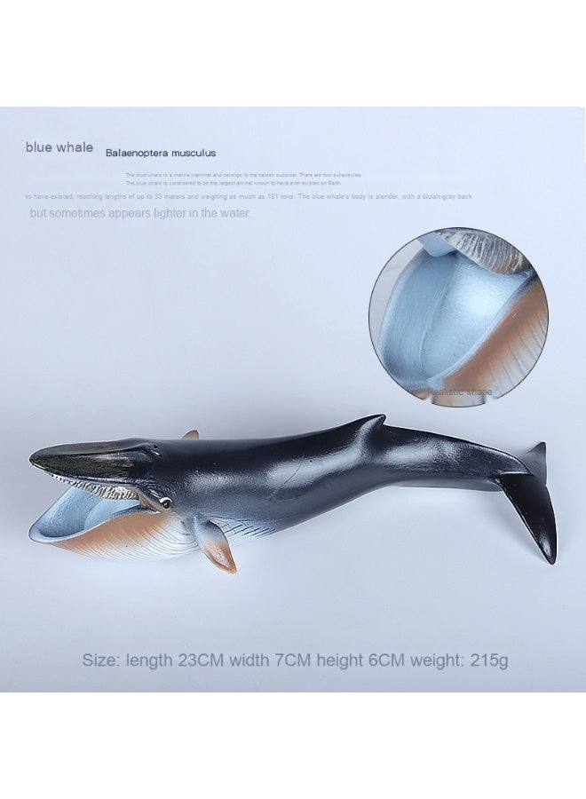 NIBEMINENT Realistic Blue Whale Animal Model Toy