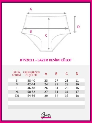 Sensu Women's High Waist Laser Cut Panties 3 Piece KTS2011