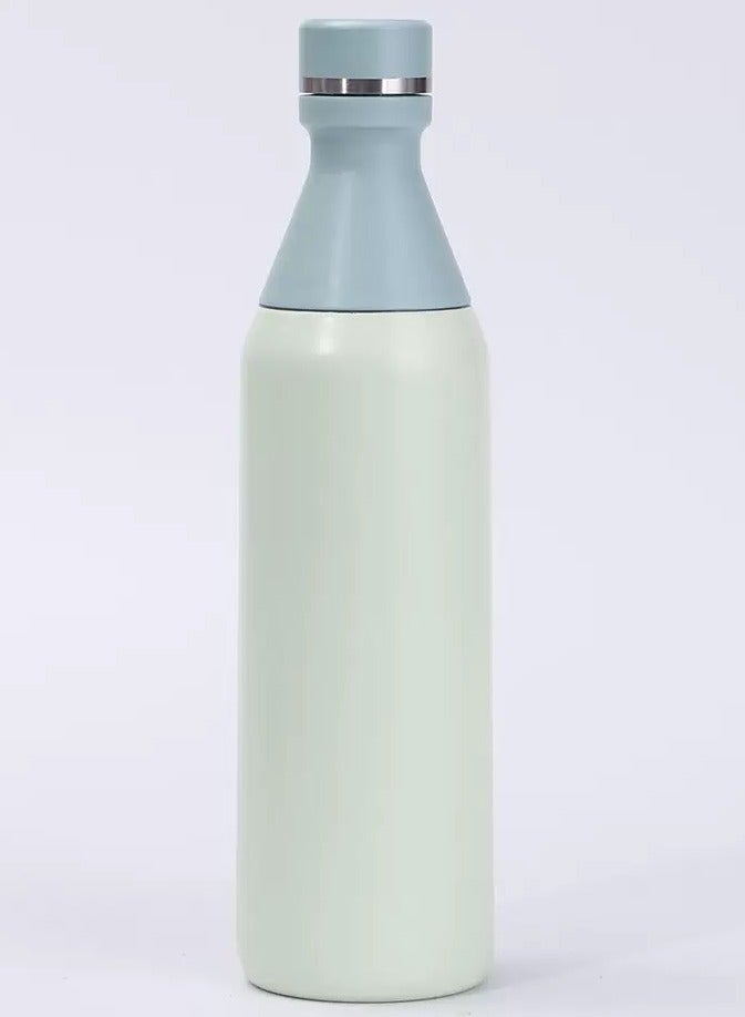 ROEIEIS 500ml Stainless Steel Vacuum Insulated Water Bottle, Leakproof Slim Design for Travel & Gym, BPA-Free