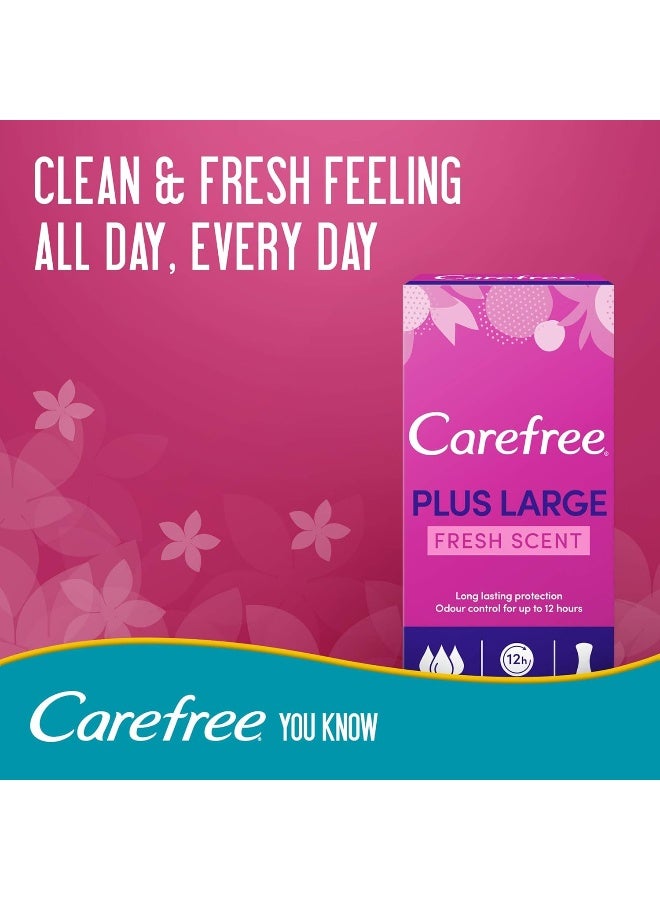CAREFREE Daily Panty Liners, Plus Large, Fresh Scent, Pack of 20