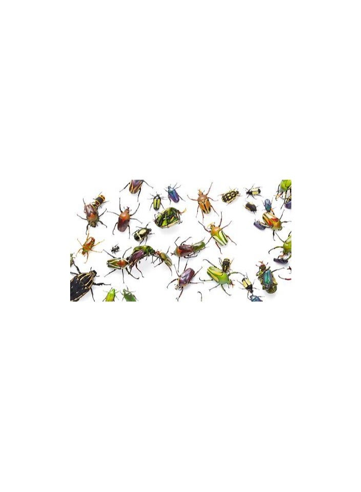 SYN Endigo ZC® Insecticide/Pesticide 250ml | France | To Control Aphid, Stinkbugs, Bean leaf beetle, Japanese beetle, Grasshoppers, Corn rootworm beetle, Worms and Kudzu bug - Image 2