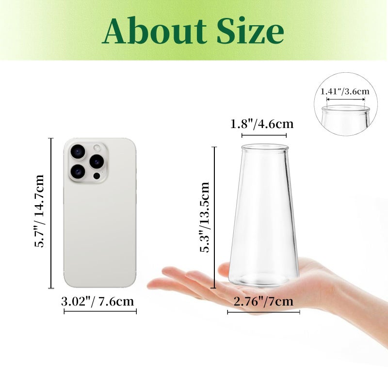 Hewory Glass Bud Vases for Centerpieces: Small Clear Modern Flower Vase Set of 12, Minimalist Cute Mini Decorative Bulk Vases for Wedding Birthday Bridal Shower Party Events Dining Room Table Decor - Image 2