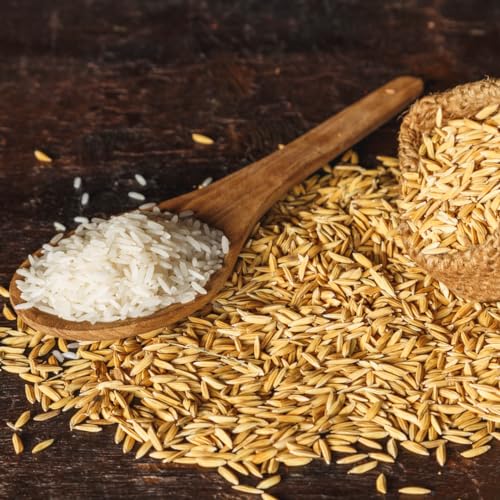 Birch & Meadow Rice Hulls, 2 lb, Gardening, Planters, Substrate - Image 2