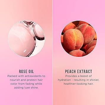 HASK Colour Care Colour Protection Conditioner with Rose Oil Peach for Colored Hair vegan colour safe glutenfree sulfatefree parabenfree crueltyfree 1 355 mL Bottle - Image 4