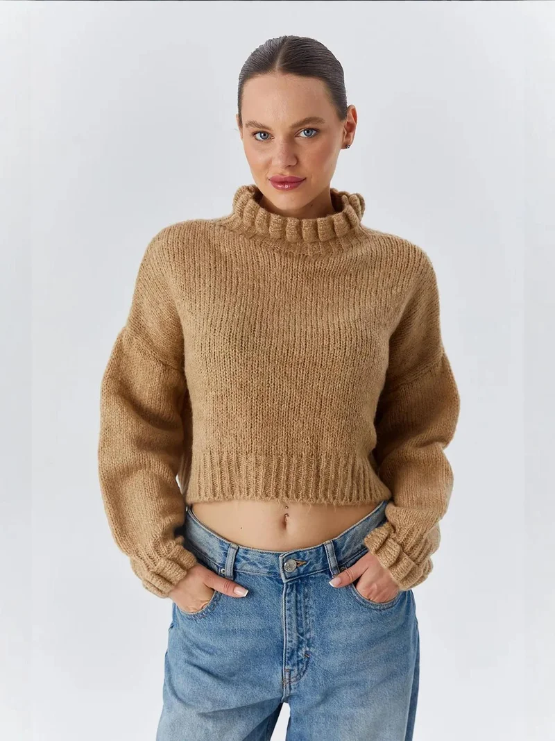 MixRay Mixray Thick Turtleneck Textured Crop Sweater