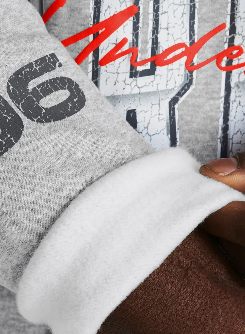 UNDER ARMOUR Essential Fleece Novelty Hoodie