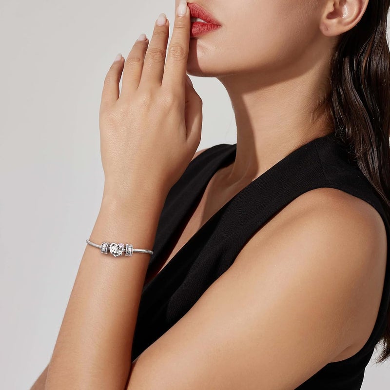 DALARAN Stopper Beads for Bracelets 925 Sterling Silver Clip Spacer Charm Bracelet Stoppers - Image 1