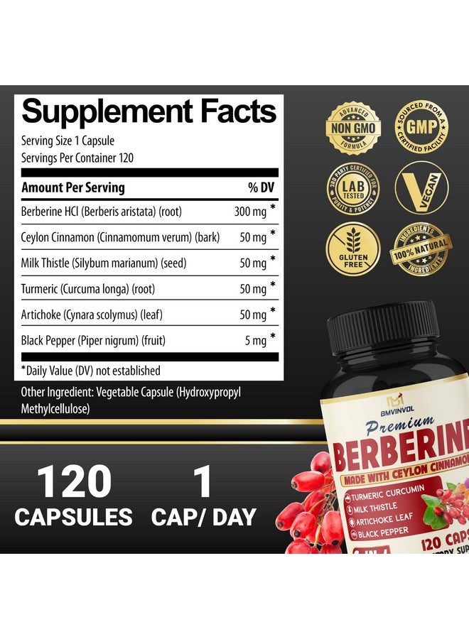 BMVINVOL BMVINVOL 6in1 Berberine Supplement with Ceylon Cinnamon, Tumeric Root, Milk Thistle, Artichoke, Black Pepper -120 Capsules for 4 Month Supply - Image 2