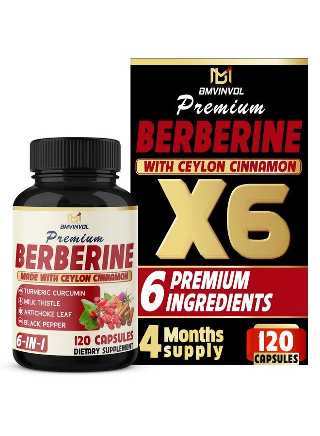 BMVINVOL BMVINVOL 6in1 Berberine Supplement with Ceylon Cinnamon, Tumeric Root, Milk Thistle, Artichoke, Black Pepper -120 Capsules for 4 Month Supply - Image 1