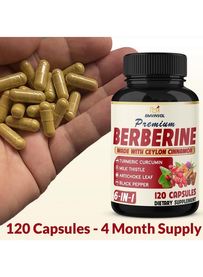 BMVINVOL BMVINVOL 6in1 Berberine Supplement with Ceylon Cinnamon, Tumeric Root, Milk Thistle, Artichoke, Black Pepper -120 Capsules for 4 Month Supply - Image 3