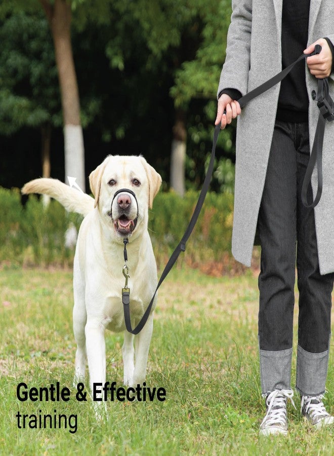 SVD.PET No-Pull Dog Headcollar for Easier Walks, Chew-Proof Protector to Increase Comfort, Simple Design, Easy to Wear and Adjust (Medium Size for Small and Medium Size Dogs) - Image 5