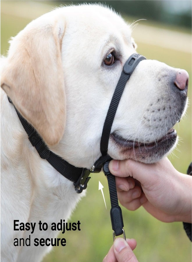 SVD.PET No-Pull Dog Headcollar for Easier Walks, Chew-Proof Protector to Increase Comfort, Simple Design, Easy to Wear and Adjust (Medium Size for Small and Medium Size Dogs) - Image 3