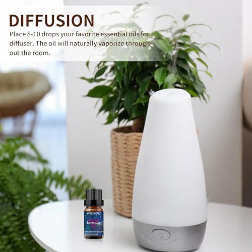 BURIBURI Lavender and Peppermint Essential Oil, 100% Pure, Undiluted, Natural, Organic Aromatherapy Essential Oils Gift Set, 10MLx2 - Image 4