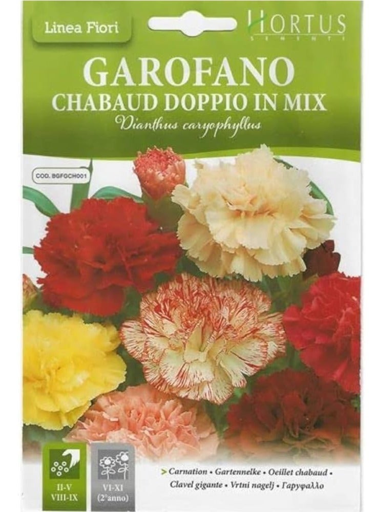 هورتس قرنفل "Garofano Chabaud Doppio in Mix" بذور عالية الجودة من Hortus
