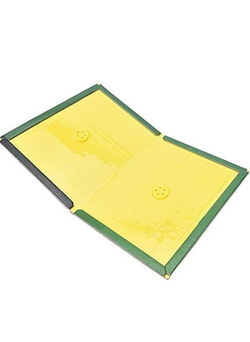 Mouse & Rat Adhesive Glue Trap - Image 2