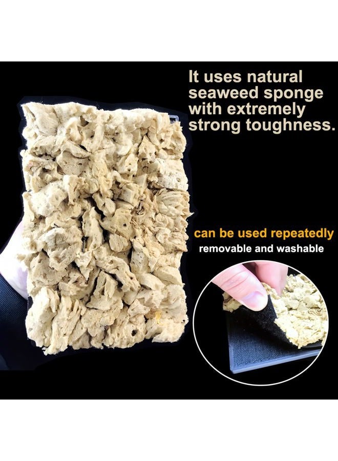 BANCOO Natural Sea Sponge Stippling Paddles for Wall Texture Painting - Reusable Texturing Tool Creates Intricate Patterns, Art Sponge Paddles for PRO & DIY Home Renovation Projects (BC018-M) - Image 3