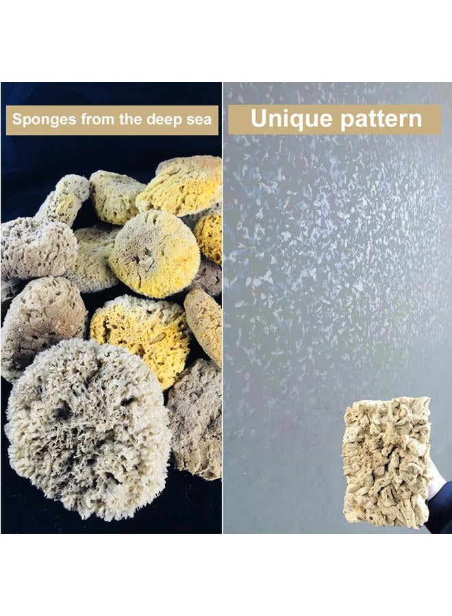 BANCOO Natural Sea Sponge Stippling Paddles for Wall Texture Painting - Reusable Texturing Tool Creates Intricate Patterns, Art Sponge Paddles for PRO & DIY Home Renovation Projects (BC018-M) - Image 4