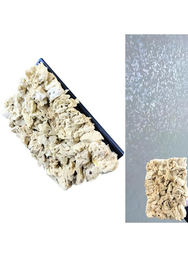 BANCOO Natural Sea Sponge Stippling Paddles for Wall Texture Painting - Reusable Texturing Tool Creates Intricate Patterns, Art Sponge Paddles for PRO & DIY Home Renovation Projects (BC018-M) - Image 1