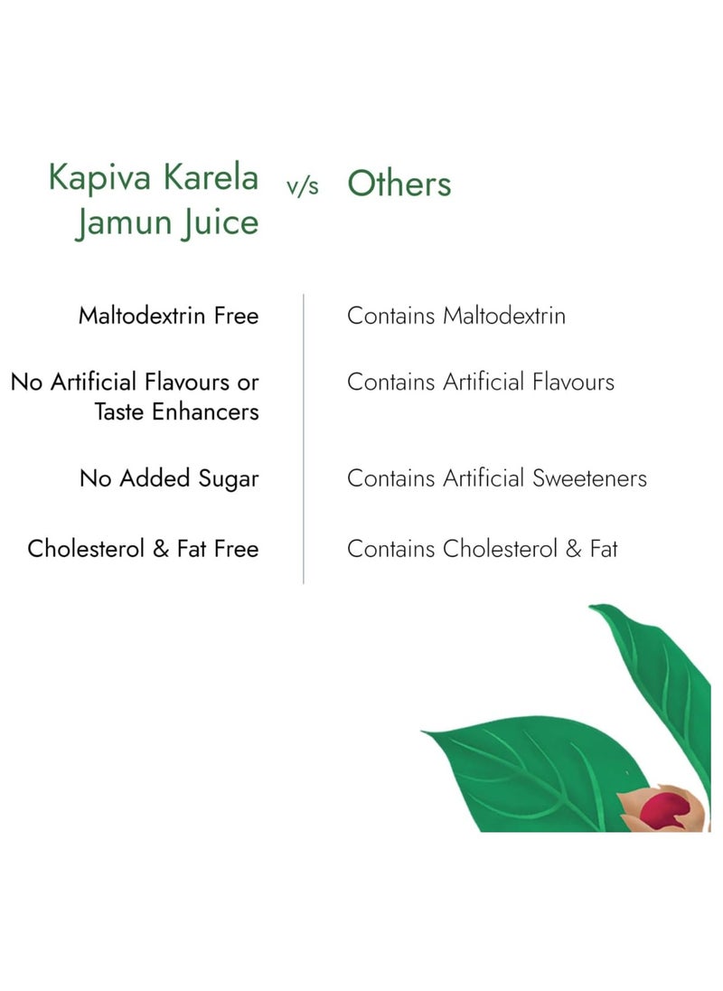 Kapiva KAPIVA Dia Foods Karela Jamun Juice 1L  - Image 2