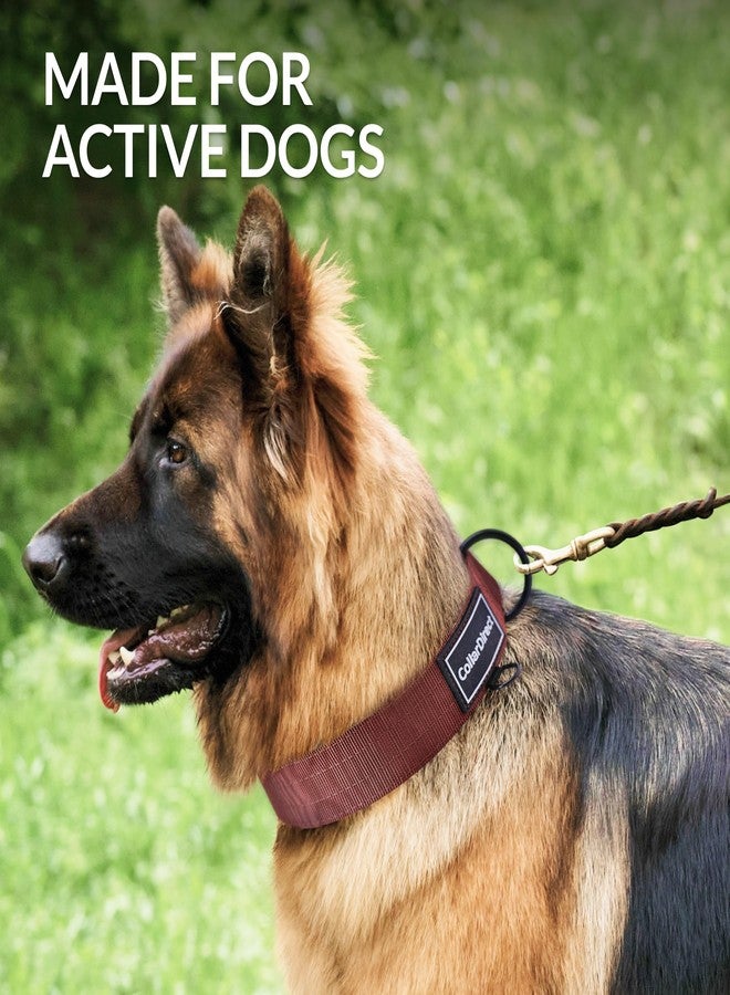CollarDirect Heavy Duty Dog Collar for Large or Medium Dogs, Adjustable Strong Dog Collar for Active Dogs, Double-Layered Nylon (Rust, 14-20) - Image 2