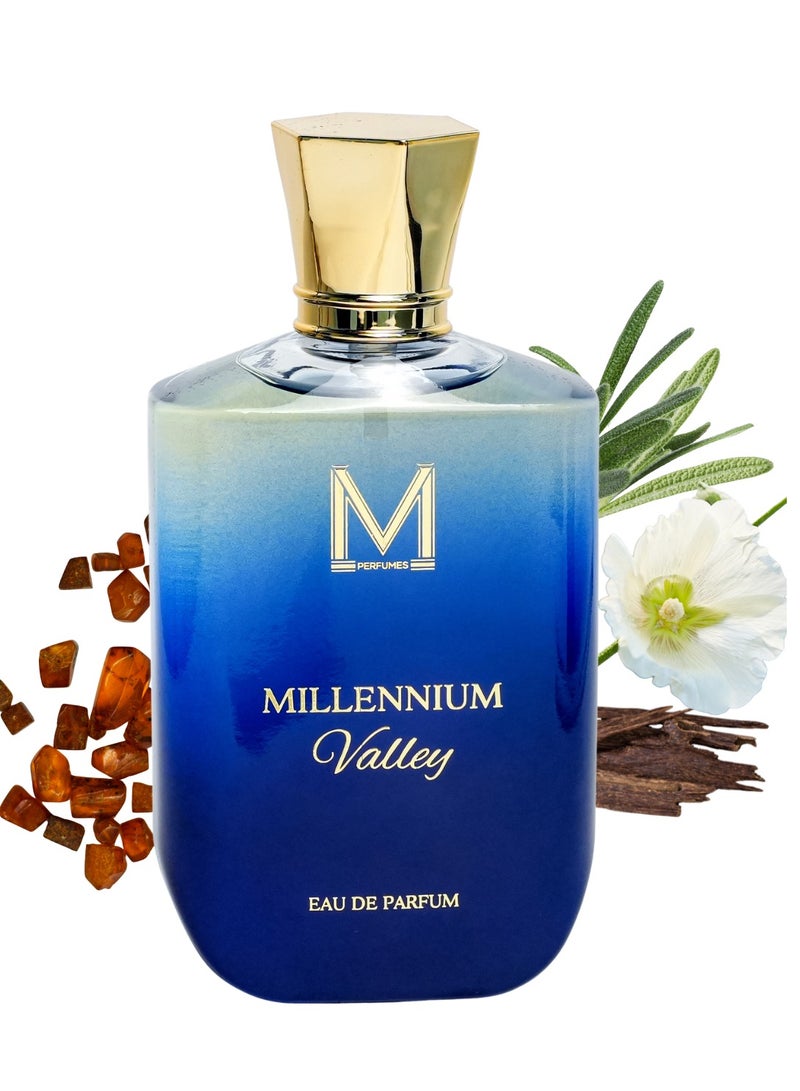 VM PERFUMES Millennium Valley Eau de Parfum for Men 100ml – Oud, Leather, Amber & Musk Scent with Herbal Rosemary Notes - Image 2