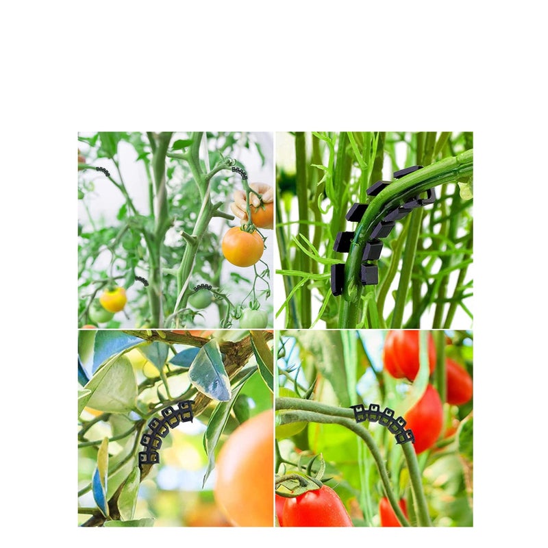 Zikra 90 Degree Plant Clips Branches Clips Control The Growth of Plants Branches Clamps for Low Stress Planting Clip (150 Pieces) - Image 3