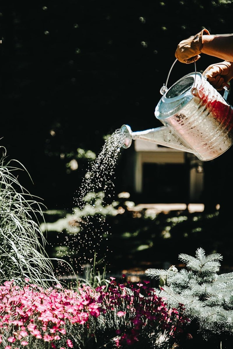 Behrens 2 Gallon Hot Dipped Steel Watering Can - Image 3