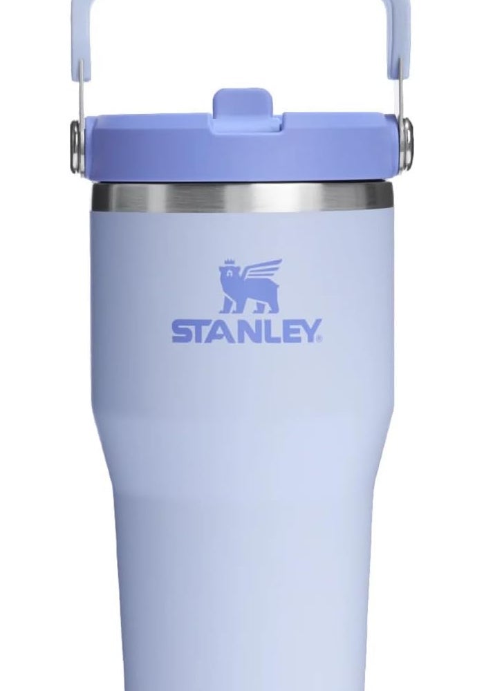 Stanley ستانلي آيس فلو جو 600مل/20أونصة زجاجة ماء بقشة قابلة للطي - ديو دروب - Image 1