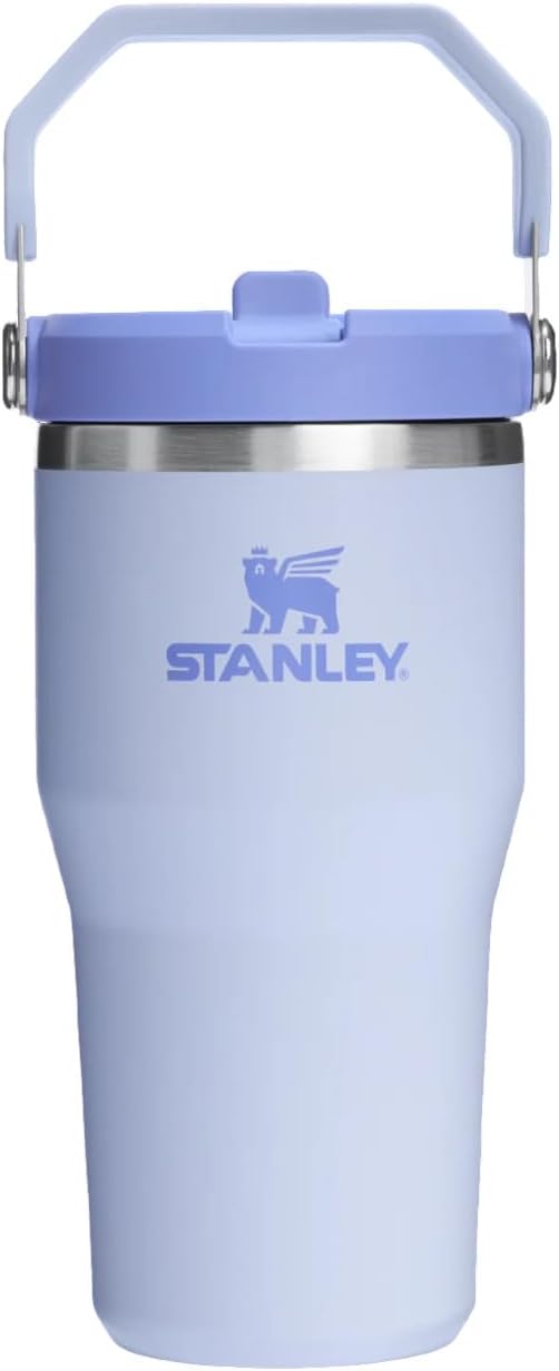 Stanley ستانلي آيس فلو جو 600مل/20أونصة زجاجة ماء بقشة قابلة للطي - ديو دروب - Image 1