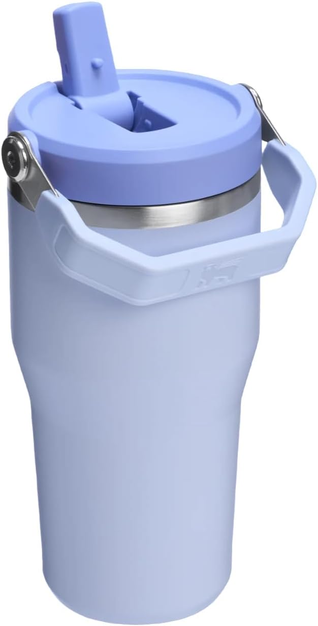 Stanley ستانلي آيس فلو جو 600مل/20أونصة زجاجة ماء بقشة قابلة للطي - ديو دروب - Image 2