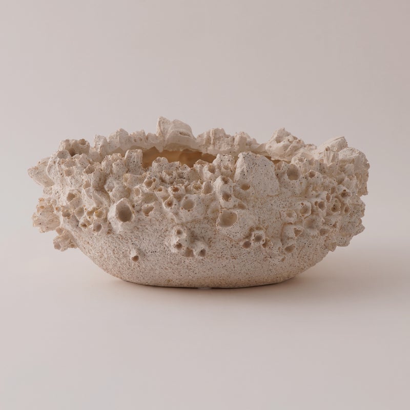 Homez Resin Decor Bowl, Beige 31.5*28.5*13.2 Cm - Image 1