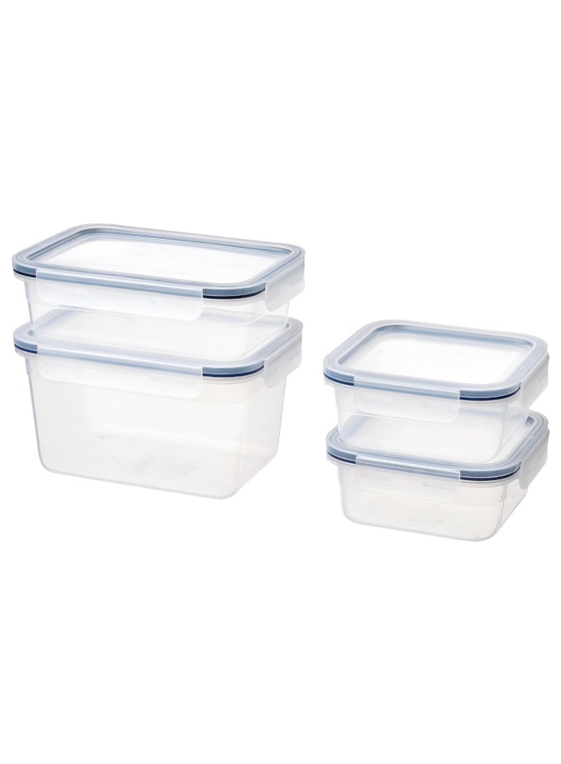 Interior Organizer Food container with lid, set of 4