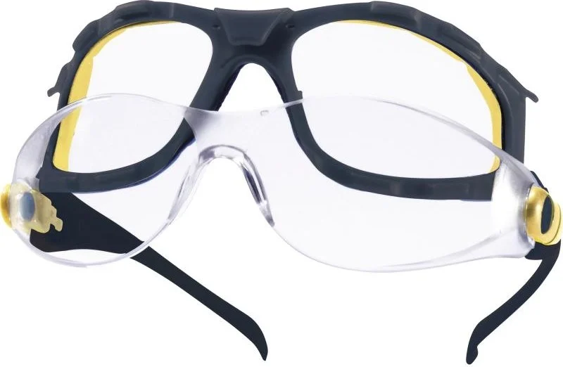 Delta Plus Pacaya Transparent Safety Goggles
