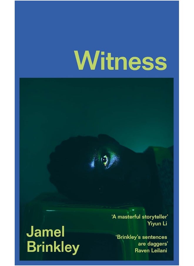 null - Witness: the stunning new short story collection of families and relationships – ‘Brinkley’s sentences are daggers’ Raven Leilani - Image 1