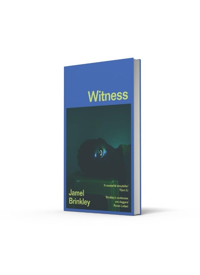 null - Witness: the stunning new short story collection of families and relationships – ‘Brinkley’s sentences are daggers’ Raven Leilani - Image 1