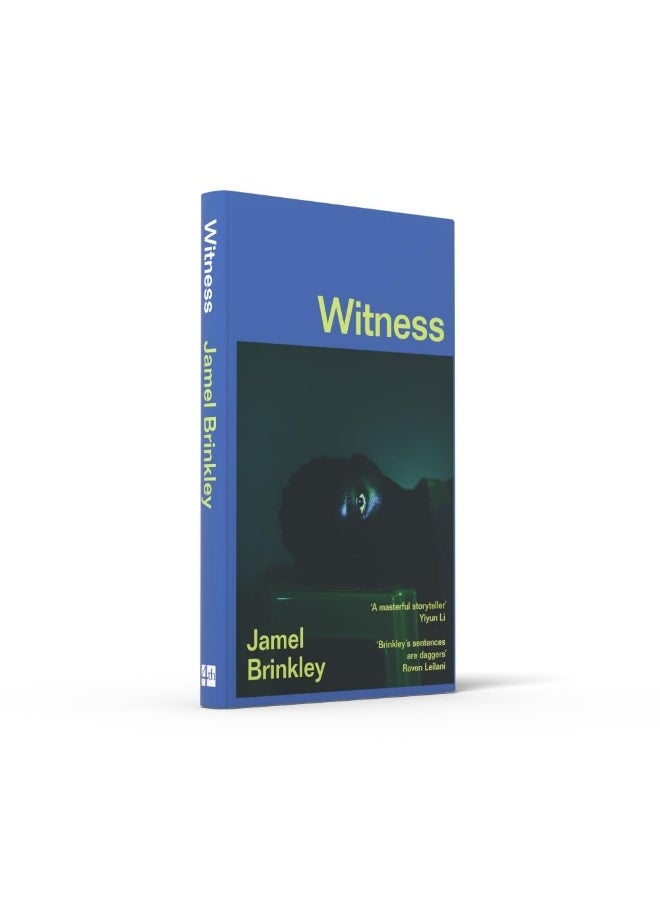 null - Witness: the stunning new short story collection of families and relationships – ‘Brinkley’s sentences are daggers’ Raven Leilani - Image 1
