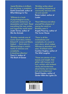 Witness: the stunning new short story collection of families and relationships – ‘Brinkley’s sentences are daggers’ Raven Leilani