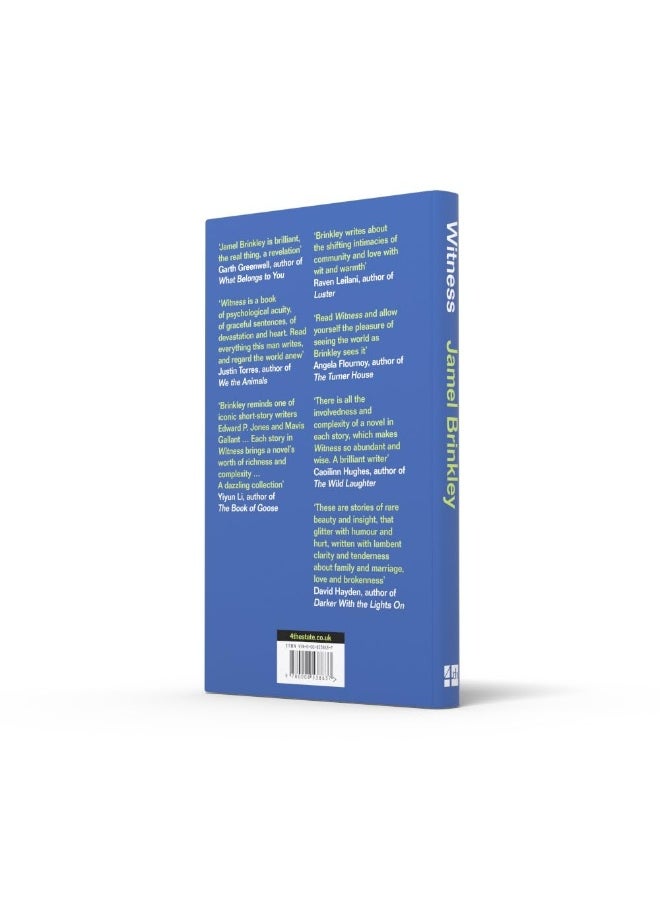 null - Witness: the stunning new short story collection of families and relationships – ‘Brinkley’s sentences are daggers’ Raven Leilani - Image 1