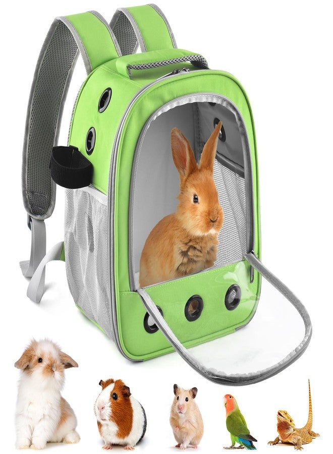 DBNESS Guinea Pig Carrier Backpack,Portable Travel Small Pet Carrier with Water Bottle Holder & Detachable Pad for Rabbits Hamsters Chinchillas Bearded Dragons Geckos Parrots (Green) - Image 1