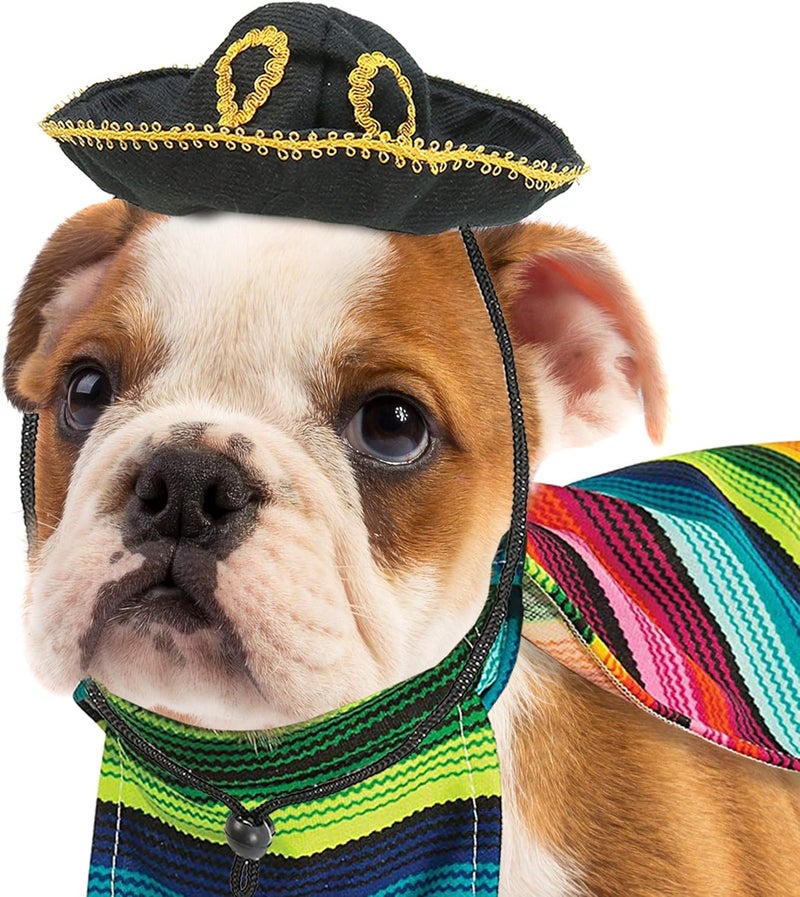 Skeleteen Mexican Serape Dog Costume  Cinco de Mayo Poncho and Sombrero Costumes for Pets Size L  Small Breeds Multicolored - Image 3