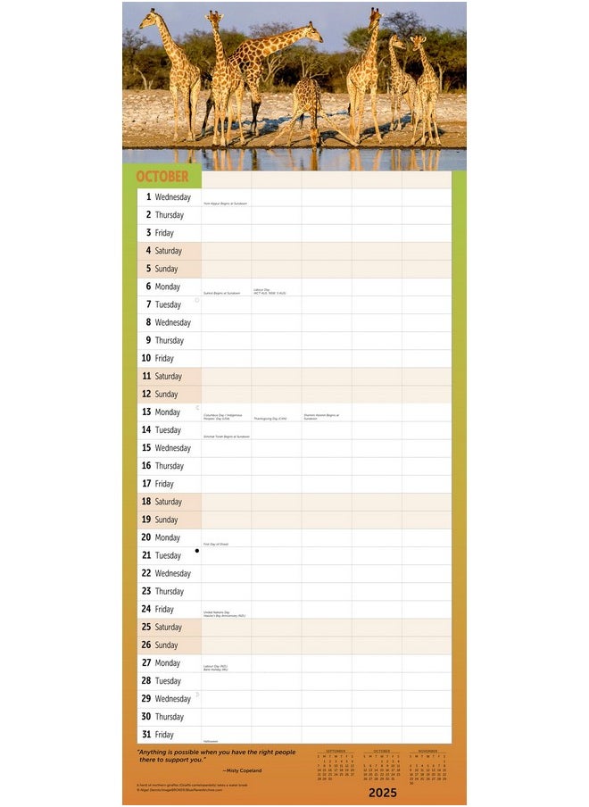 Ziga Media Busy Family Wall Calendar 2025, Monthly January-December 12'' X 14"  - Image 4