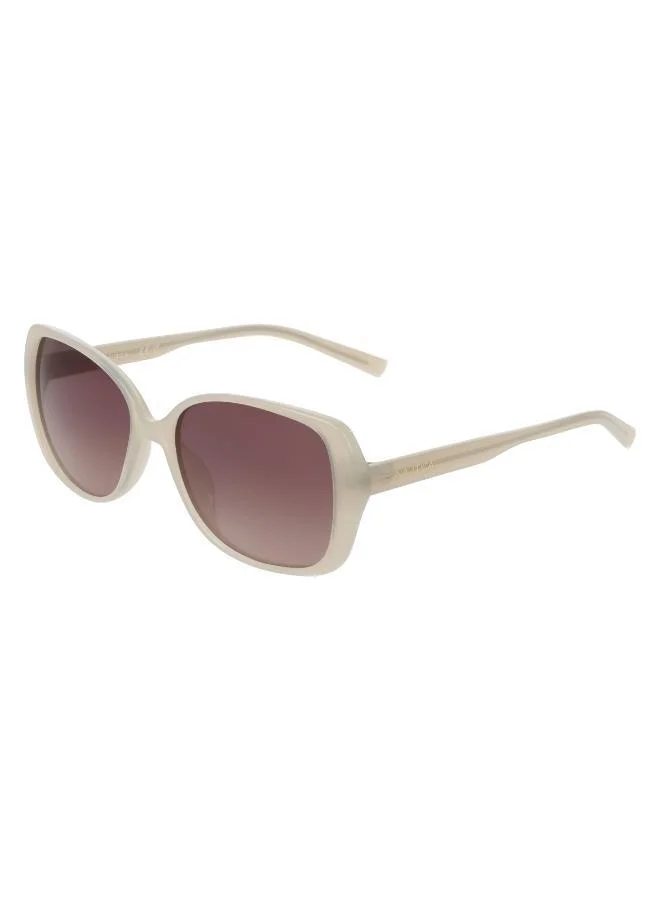 NAUTICA  Oval Sunglasses for Women | Best Price UAE