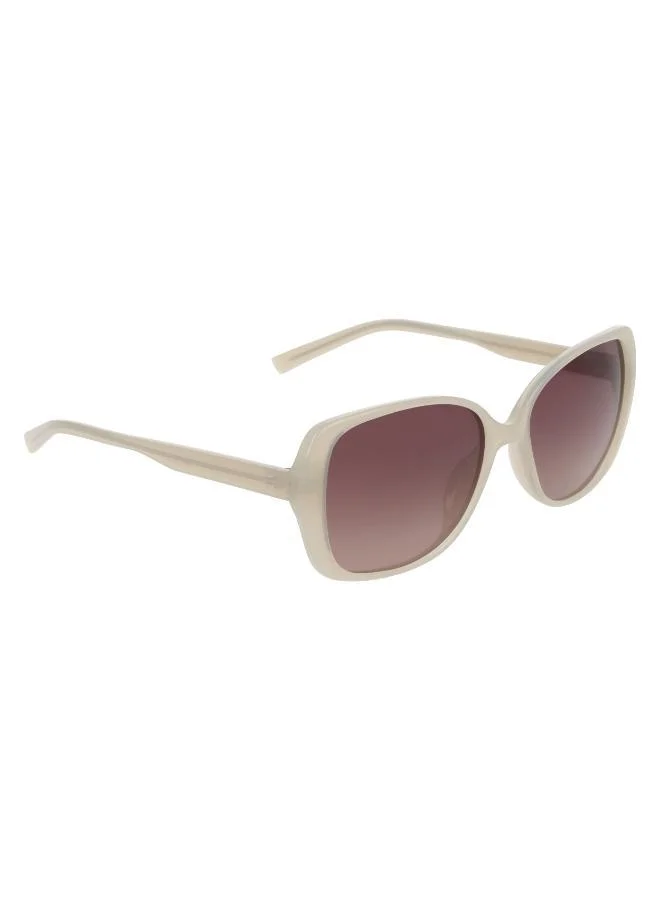 NAUTICA  Oval Sunglasses for Women | Best Price UAE